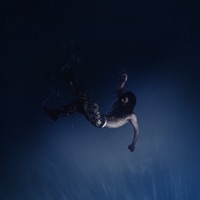 folie à deux - Serotone