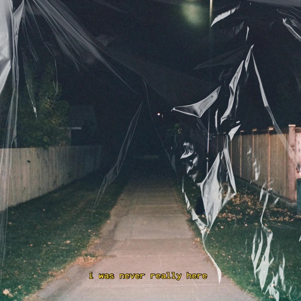 i was never really here