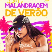 Malandragem de Verão - Thay Oliveira