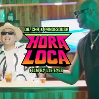 Hora Loca (feat. Doctor Cha) [Remix] - Single - Pandesousa