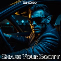 SHAKE YOUR BOOTY - Single - Ben Digo