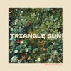 Triangle Sun - Always With You	
