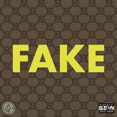 Fake (feat. yallknoalx) - Single