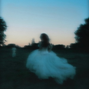 bedbugs - Single