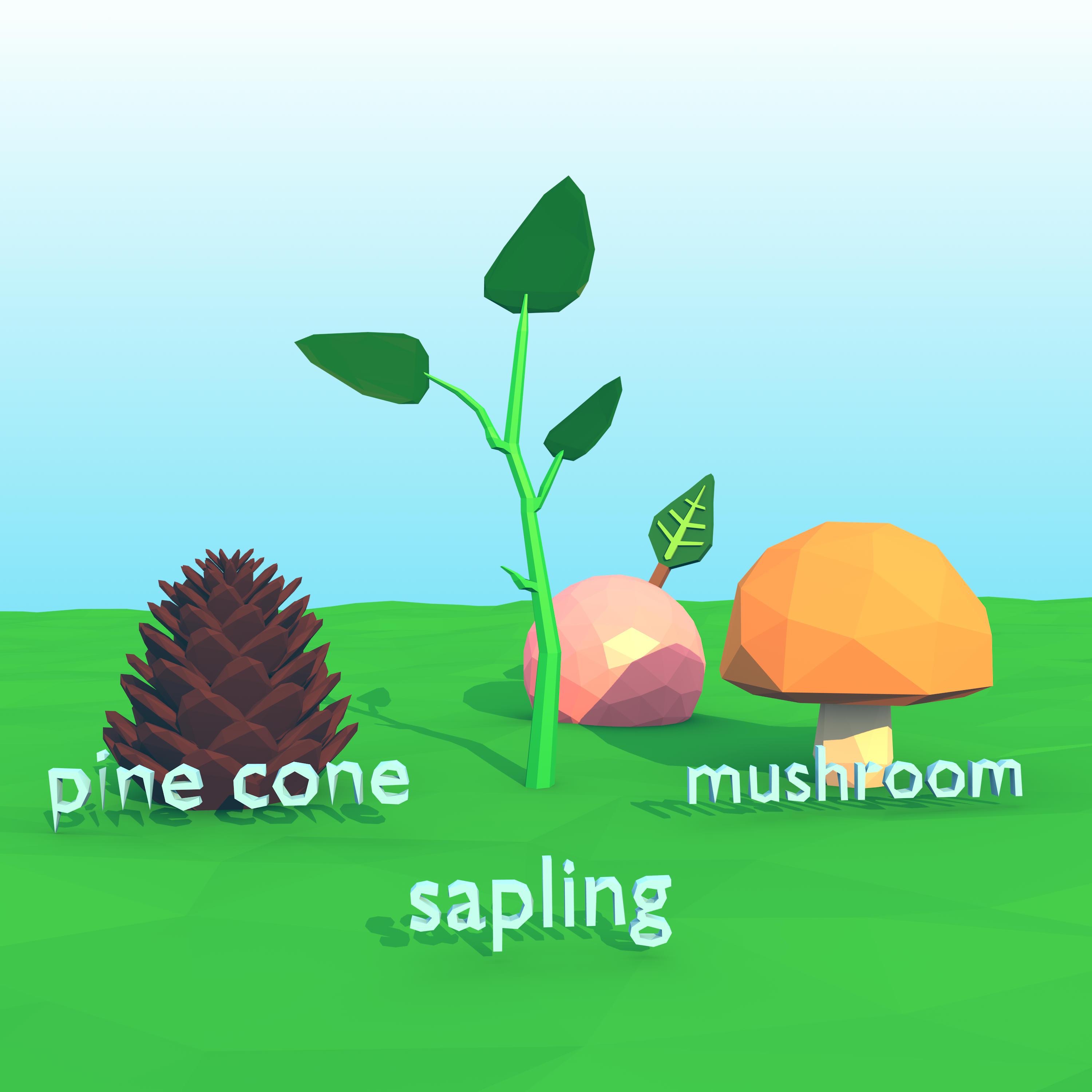 Pine Cone, Sapling & Mushroom