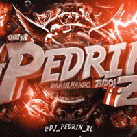 MONTAGEM AFTER PARTY 2 (feat. MC JHENNY) - Single - DJ Pedrin ZL