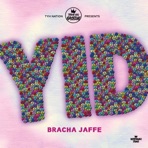 Y*D - Single