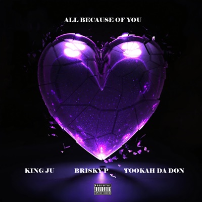 All Because Of You (feat. Brisky P & Tookah Da Don) [Remix] - Single