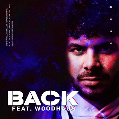 Back (feat. Woodhaus) - Single