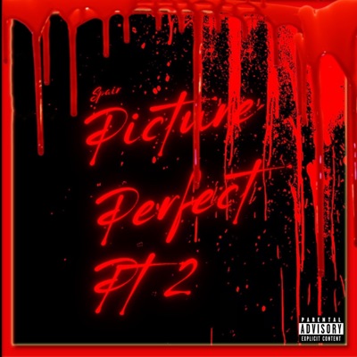 Picture perfect (feat. Mr. Init) [Pt 2] - Single