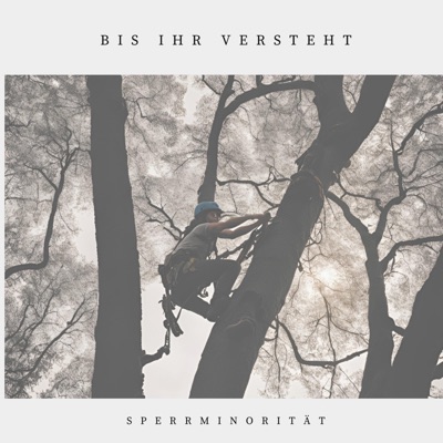 bis ihr versteht - Single