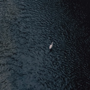 Black (feat. SILENT KILLA JOINT & TIMM)