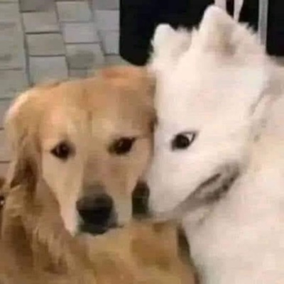 Nguyễn Quốc Hoà - Neu thi anh nhu