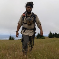 Wilderness - ReignDog