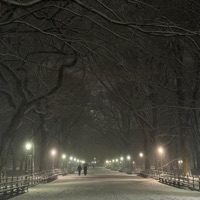 winter walks - Single - Elk Beats & olea