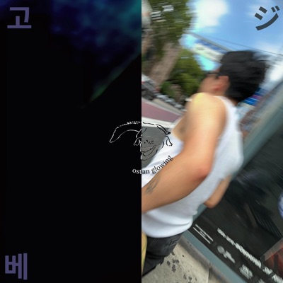 i will lead you to the ostriches - Single