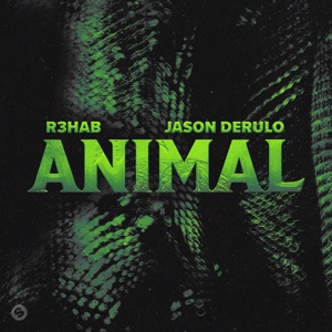 R3HAB & Jason Derulo - Animal - Line Dance Music