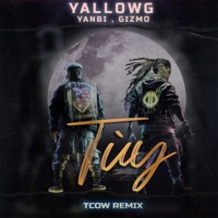 Tuỳ (TCOW Remix) [feat. Tcow] - Single - YallowG, Yanbi & Gizmo