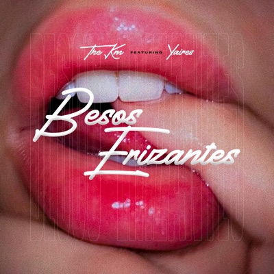 Besos Erizantes (Yaires & Zabdy Produce Remix) - Single