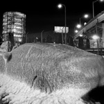 Bukithegreat - few winners, many winters