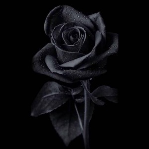 Deadly Rose (feat. Deadly) - Single
