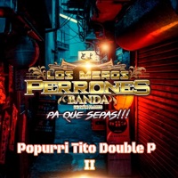 Album cover for Popurrí Tito Double P II - Single by Los Meros Perrones Banda