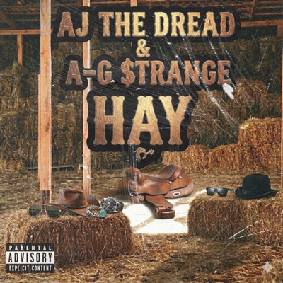 Hay - Single