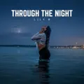 THROUGH THE NIGHT