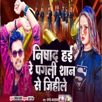 Nishad Hai Re Pagali Shan Se Jihile - Single - Panday Mastana