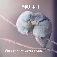 You & i (you and i) (feat. M-Lover Mubali) - Single - Foi Foi