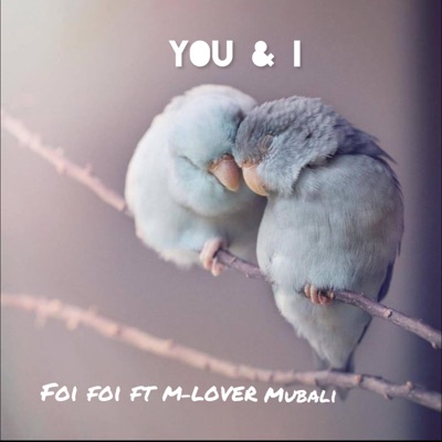You & i (you and i) (feat. M-Lover Mubali) - Single
