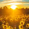 A Brighter Day