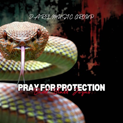 Pray for protection (feat. Lilly) - Single