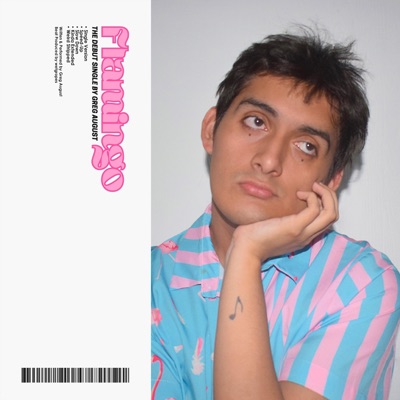 Flamingo (Versions) - EP