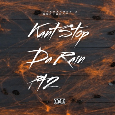 Kant Stop Da Rain Pt2 (feat. BuckShot) - Single