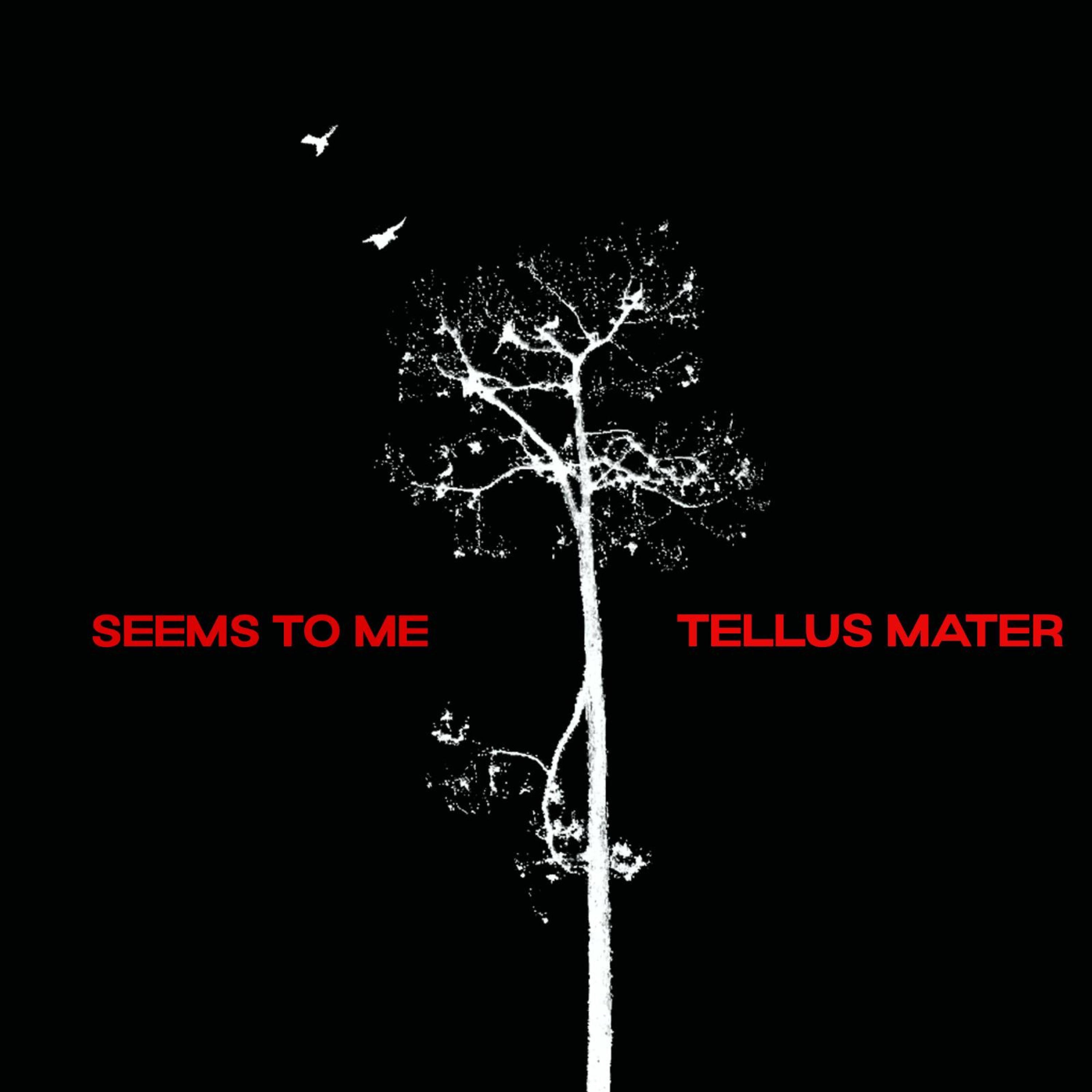 SEEMS TO ME - Single