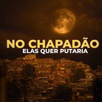 No Chapadão Elas Quer Putaria Tik Tok Acelerada (feat. dj paulinho da faizao) - Single - DJ Gustavo Mix, DJ Denilson do Chapadão & DJ Theaga
