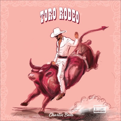 TORO RODEO