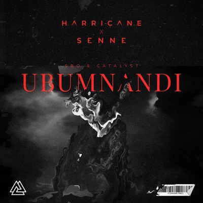 Ubumnandi - Single