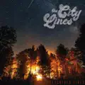 The Bear
