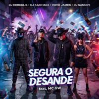 Segura o Desande (feat. DJ HERCULIS DJ SANNDY Vovô James DJ KAIO MAX) - Single - DJ HERCULIS, Dj Sanndy & Vovô James