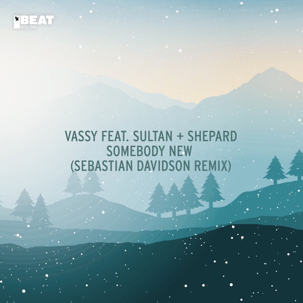 Somebody New (feat. Sultan + Shepard) [Sebastian Davidson Remix] - Single