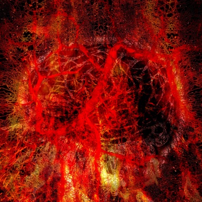 Burnout (feat. Mvssi & Straydeath) - Single