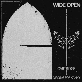 Wide Open (Cartridge Remix) Digging for Kanky
