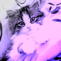 Baby Can I - Single - Xaimon