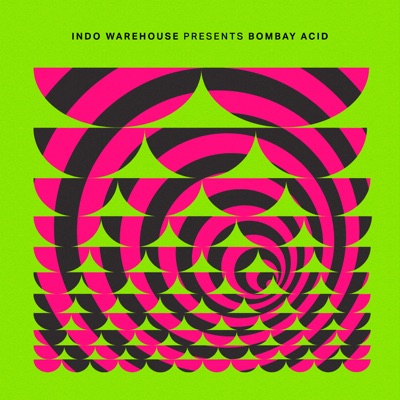Bombay Acid (feat. Raja Kumari) - Single