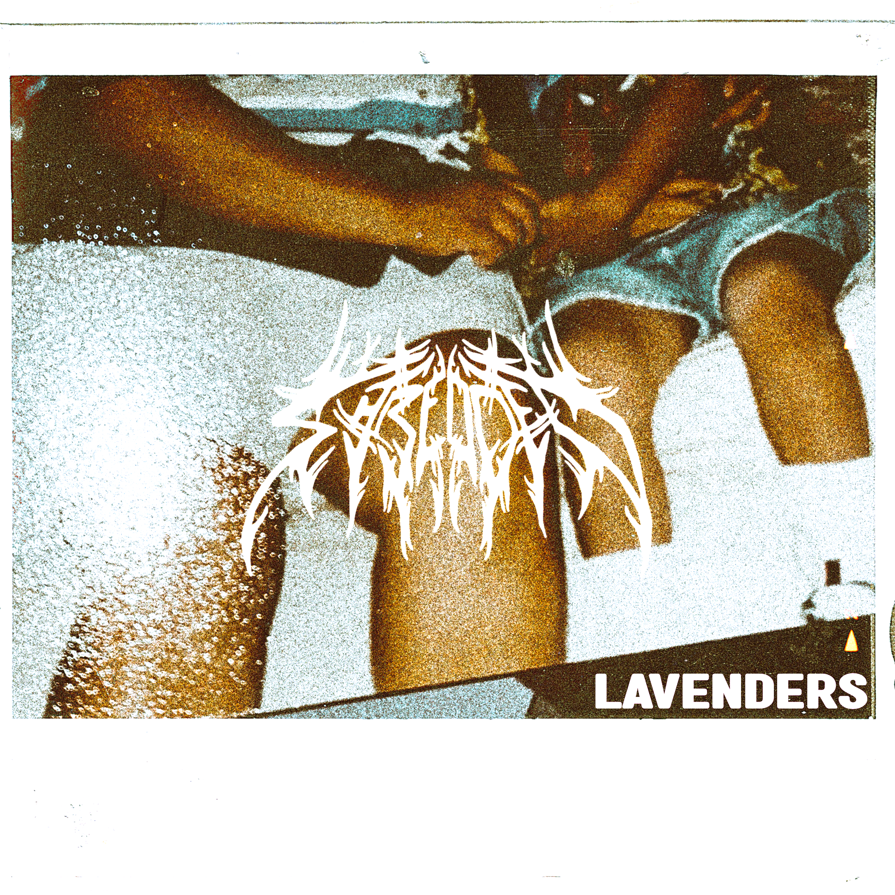 Lavenders - Single