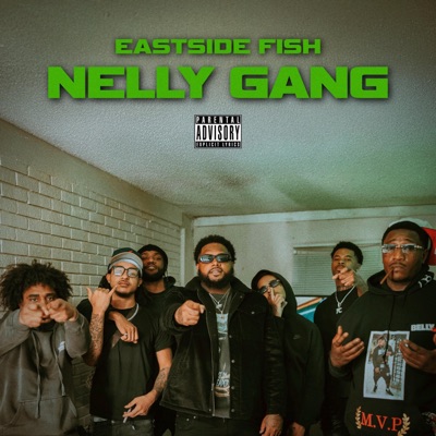 NELLY GANG