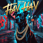 HaV HaV (feat. The Lates) - Teo DM