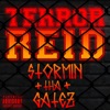 Stormin tha Gatez - Single